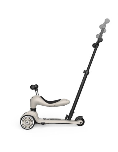 Push and Go - Porteur 2 en 1 évolutif en...