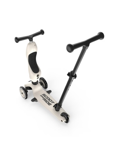 Push and Go - Porteur 2 en 1 évolutif en...