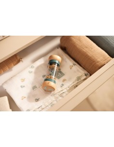 Petit Bâton de Pluie en Bois Lovely Birds 2