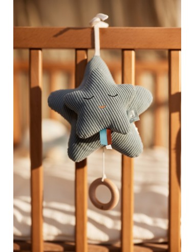 Peluche Musicale Etoile - Star Sea Green