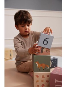 Jeu de 10 Cubes empilables Filibabba 2