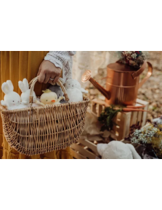 Petite Peluche Poussin - Bunnies By The Bay 2