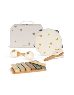 Premier set instruments de musique Lemon 2