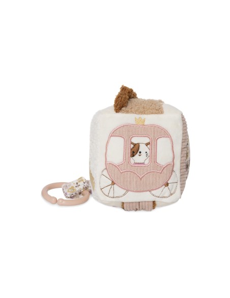 Cube d'Activités Sensoriel Flower Fairies