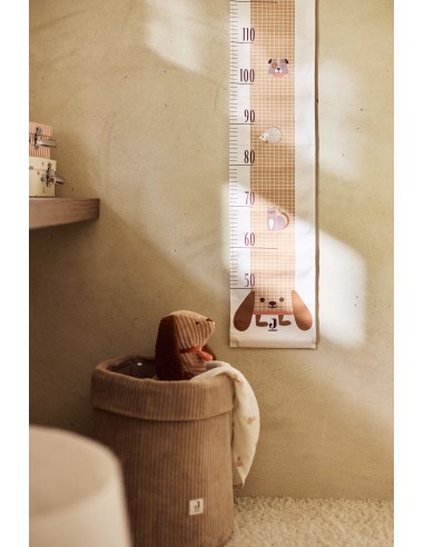 Toise Animal Friends