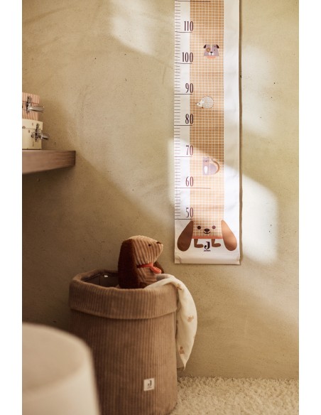 Toise Animal Friends