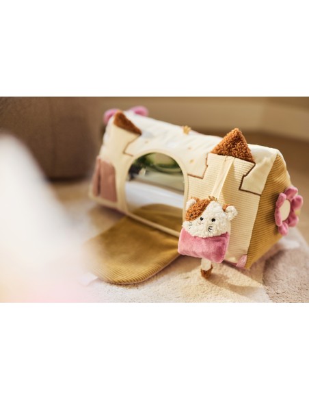 Prisme Triangle d'Activités Sensoriel Flower Fairies