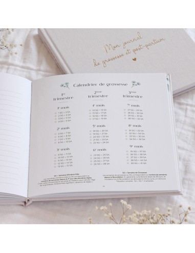 Journal de Grossesse et Post-partum Zü