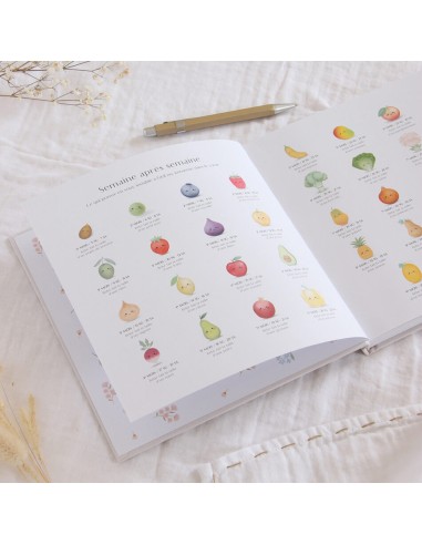 Journal de Grossesse et Post-partum Zü