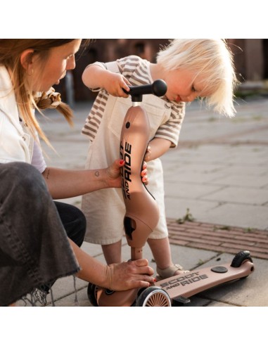 Push and Go - Porteur 2 en 1 évolutif en...