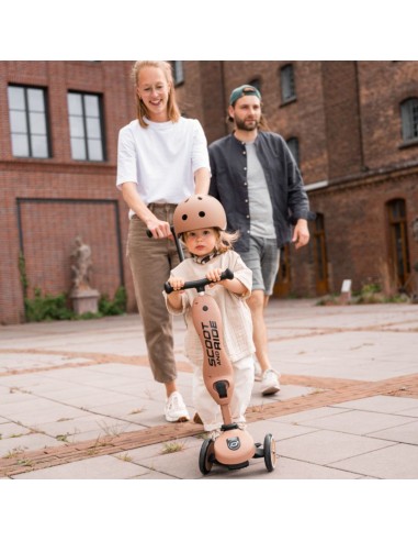 Push and Go - Porteur 2 en 1 évolutif en...