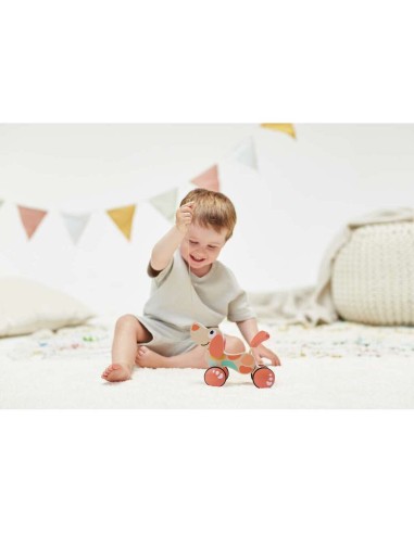 Chien Puppy à tirer – Édition limitée Hape