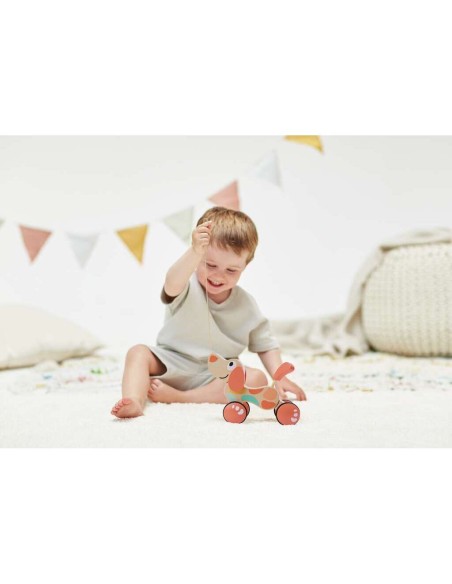 Chien Puppy à tirer – Édition limitée Hape