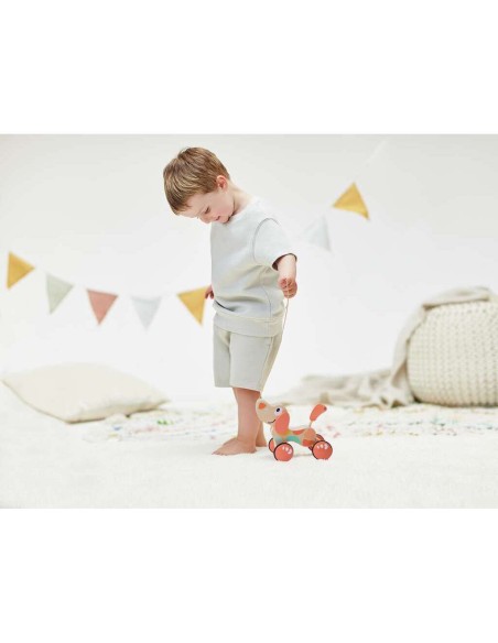 Chien Puppy à tirer – Édition limitée Hape