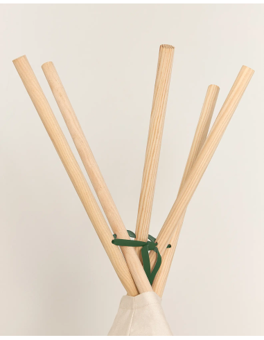 Tipi Vibes Arizona - Green