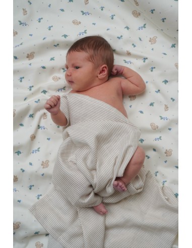 Lot de 3 Langes assortis Blueberries