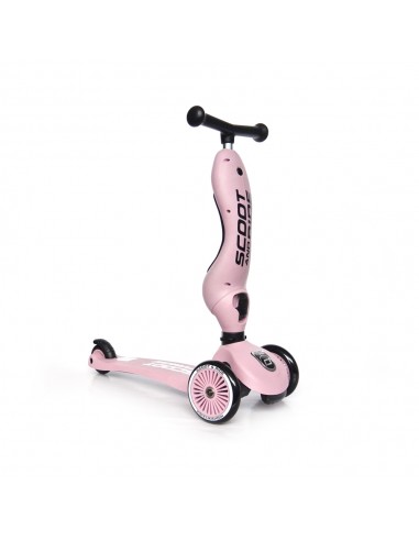 Porteur 2 en 1 évolutif en trottinette 1 à 5...