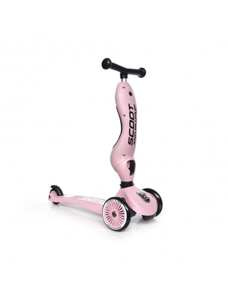 Porteur 2 en 1 évolutif en trottinette 1 à 5 ans Rose