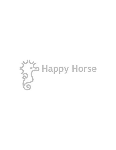 Happy Horse